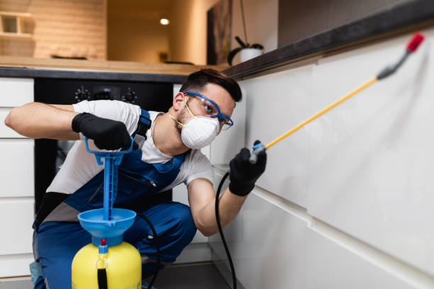 Best Pest Removal Services  in San Bruno, CA