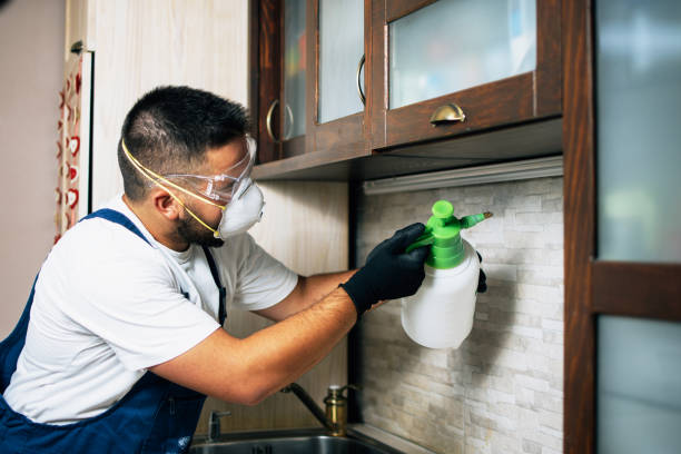 Best Bed Bug Extermination  in San Bruno, CA