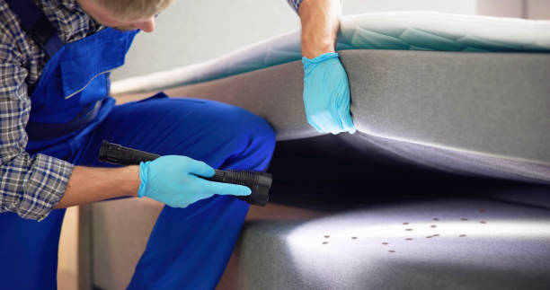 Best Local Pest Control Services  in San Bruno, CA