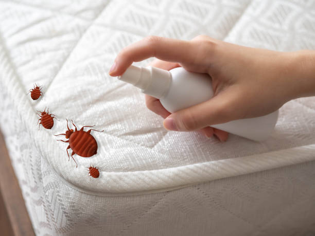 Best Commercial Pest Control Services  in San Bruno, CA