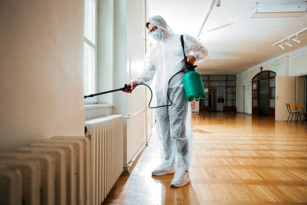 Best Spider Control Near Me  in San Bruno, CA
