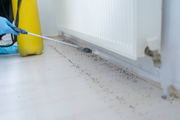Best Best Pest Control Companies  in San Bruno, CA