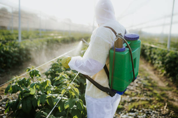 Reliable San Bruno, CA Pest Control Solutions